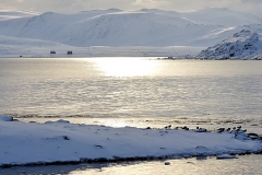 Sandfjord i bakgrunnen
